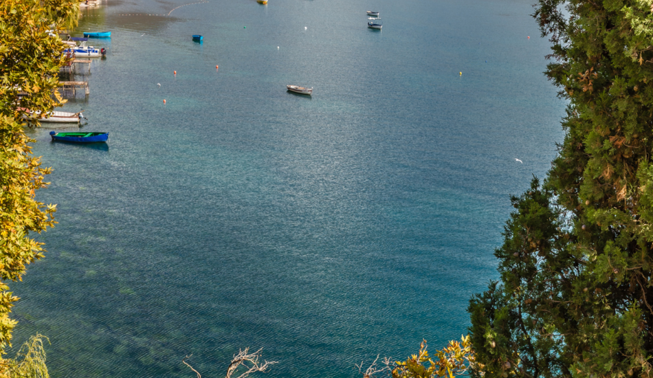 2023/03/images/tour_1225/untitled-design-4.png