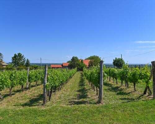 2026/03/images/tour_2151/1vinarijadjurdjiccompressed-large.jpg
